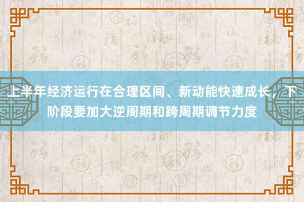 上半年经济运行在合理区间、新动能快速成长，下阶段要加大逆周期和跨周期调节力度