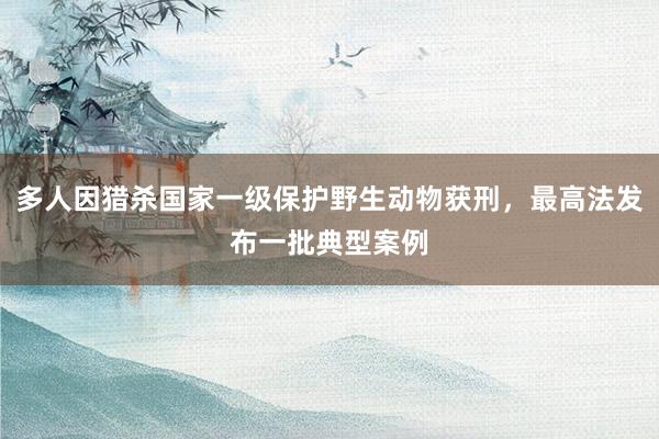 多人因猎杀国家一级保护野生动物获刑，最高法发布一批典型案例