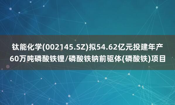 钛能化学(002145.SZ)拟54.62亿元投建年产60万吨磷酸铁锂/磷酸铁钠前驱体(磷酸铁)项目