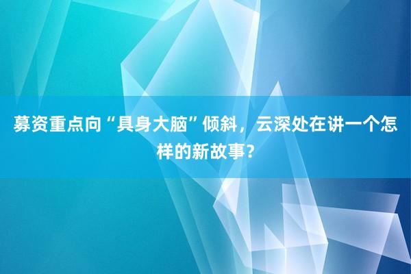 募资重点向“具身大脑”倾斜，云深处在讲一个怎样的新故事？