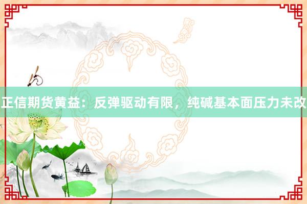 正信期货黄益：反弹驱动有限，纯碱基本面压力未改