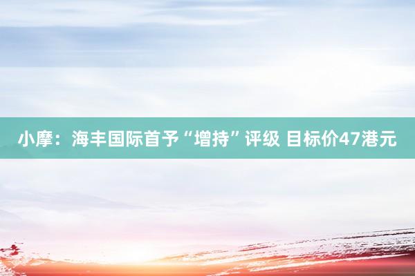 小摩：海丰国际首予“增持”评级 目标价47港元