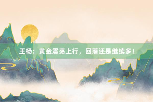 王杨：黄金震荡上行，回落还是继续多！