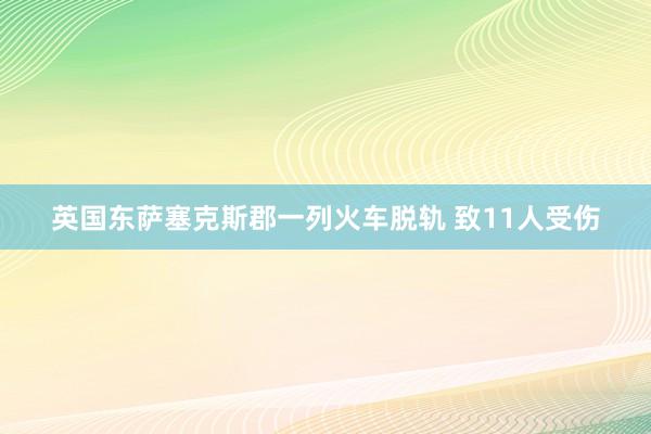 英国东萨塞克斯郡一列火车脱轨 致11人受伤