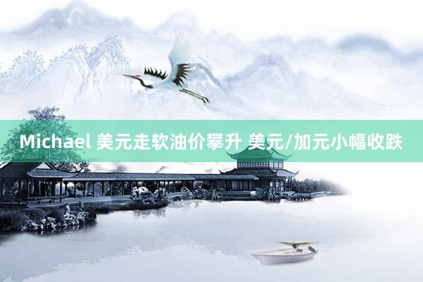 Michael 美元走软油价攀升 美元/加元小幅收跌