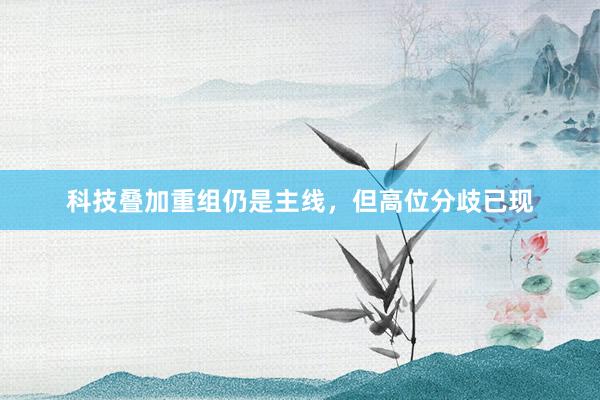 科技叠加重组仍是主线，但高位分歧已现