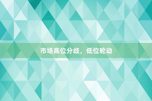 市场高位分歧，低位轮动