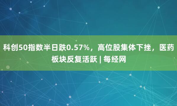 科创50指数半日跌0.57%，高位股集体下挫，医药板块反复活跃 | 每经网