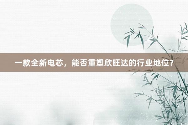 一款全新电芯，能否重塑欣旺达的行业地位？