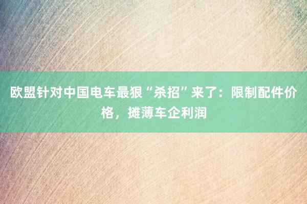 欧盟针对中国电车最狠“杀招”来了：限制配件价格，摊薄车企利润
