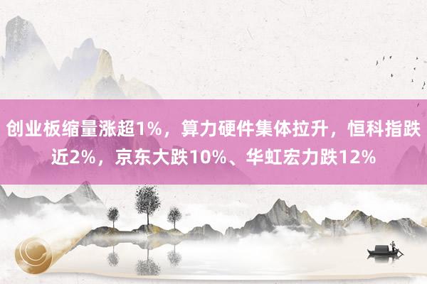 创业板缩量涨超1%，算力硬件集体拉升，恒科指跌近2%，京东大跌10%、华虹宏力跌12%