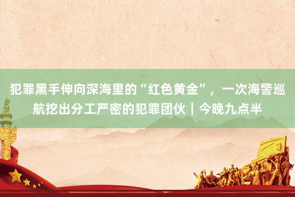 犯罪黑手伸向深海里的“红色黄金”，一次海警巡航挖出分工严密的犯罪团伙｜今晚九点半