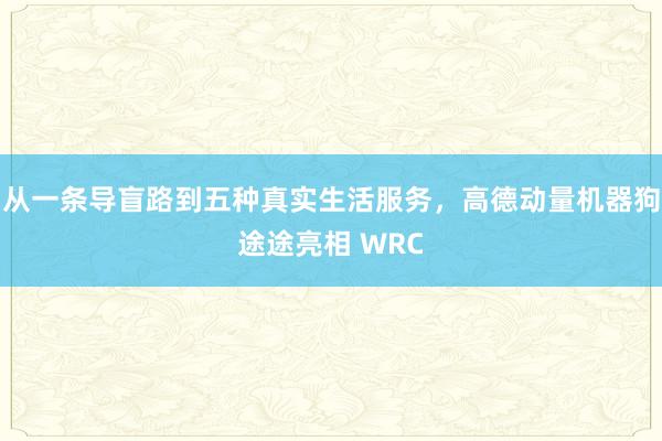 从一条导盲路到五种真实生活服务，高德动量机器狗途途亮相 WRC