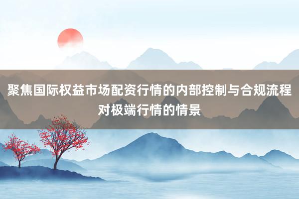 聚焦国际权益市场配资行情的内部控制与合规流程对极端行情的情景