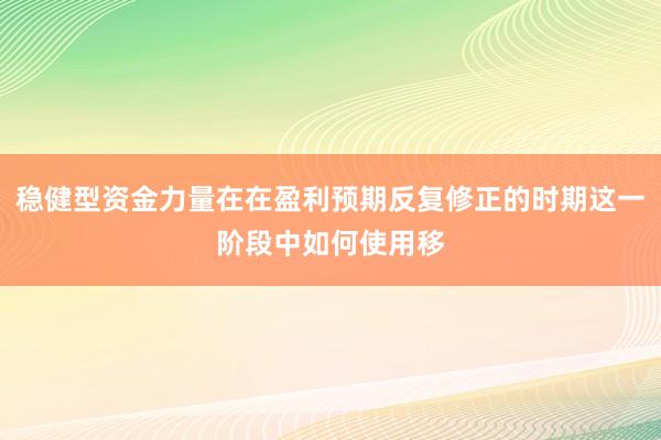 稳健型资金力量在在盈利预期反复修正的时期这一阶段中如何使用移