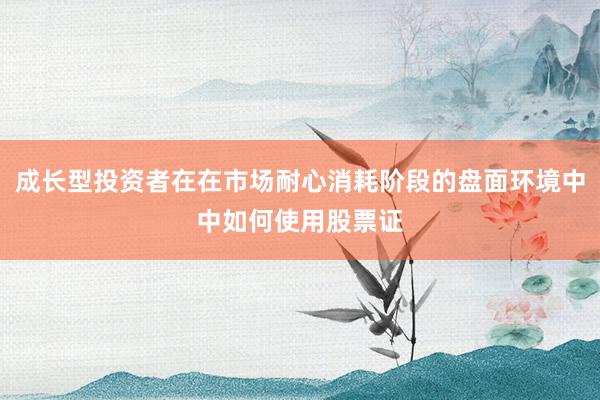 成长型投资者在在市场耐心消耗阶段的盘面环境中中如何使用股票证