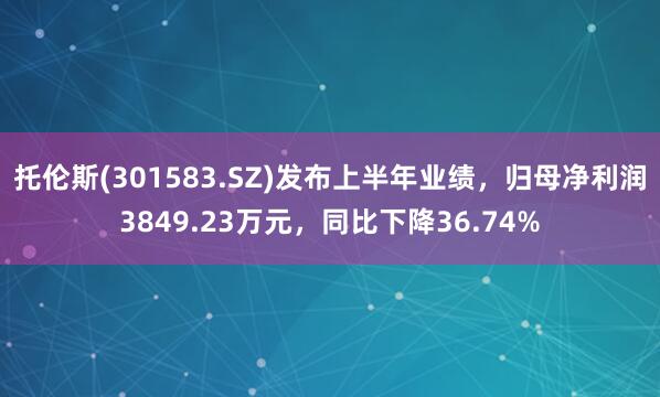 托伦斯(301583.SZ)发布上半年业绩，归母净利润3849.23万元，同比下降36.74%