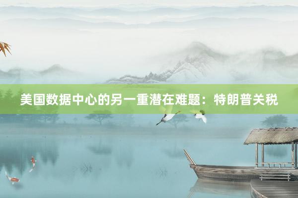 美国数据中心的另一重潜在难题：特朗普关税
