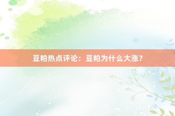 豆粕热点评论：豆粕为什么大涨？