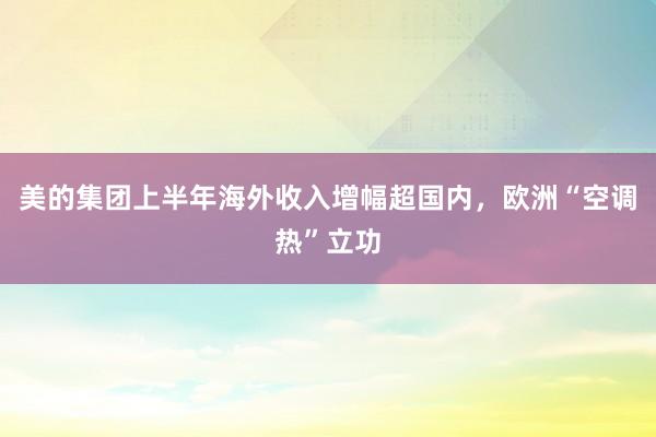 美的集团上半年海外收入增幅超国内，欧洲“空调热”立功