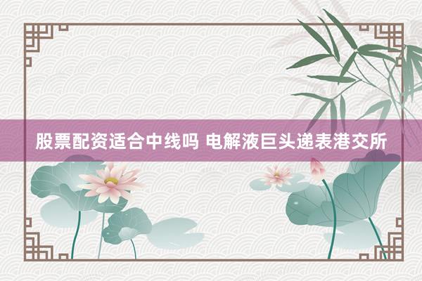 股票配资适合中线吗 电解液巨头递表港交所