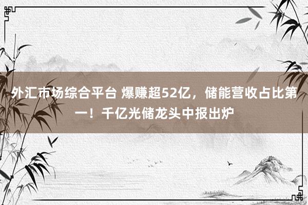 外汇市场综合平台 爆赚超52亿，储能营收占比第一！千亿光储龙头中报出炉