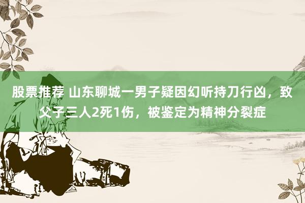 股票推荐 山东聊城一男子疑因幻听持刀行凶，致父子三人2死1伤，被鉴定为精神分裂症