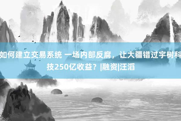 如何建立交易系统 一场内部反腐，让大疆错过宇树科技250亿收益？|融资|汪滔