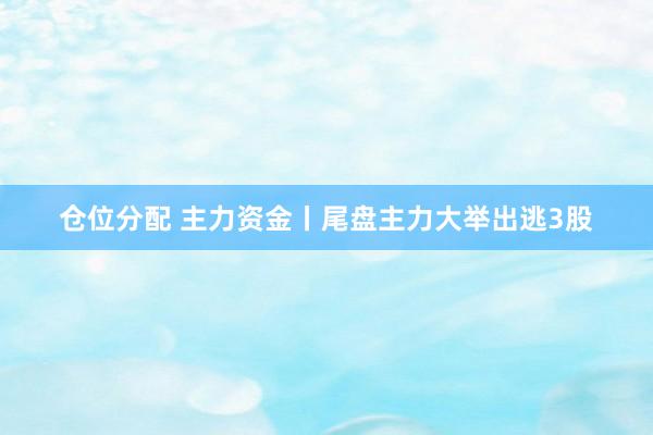 仓位分配 主力资金丨尾盘主力大举出逃3股