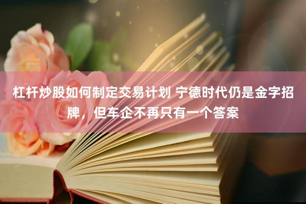 杠杆炒股如何制定交易计划 宁德时代仍是金字招牌，但车企不再只有一个答案