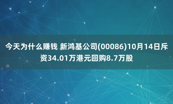 今天为什么赚钱 新鸿基公司(00086)10月14日斥资34.01万港元回购8.7万股