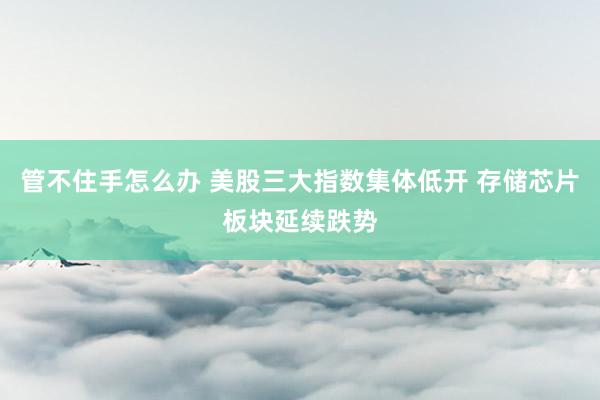 管不住手怎么办 美股三大指数集体低开 存储芯片板块延续跌势